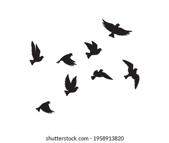 Flying birds silhouettes isolated on white background, vector. Birds illustration. Wall art, artwork, poster design. Freedom concept