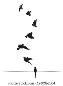 Flying birds silhouettes isolated on white background, vector. Birds illustration. Wall art, artwork, poster design. Freedom concept