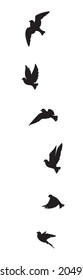 Flying birds silhouettes isolated on white background, vector. Birds illustration. Wall art, artwork, poster design. Freedom concept