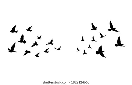 Flying birds silhouettes on isolated background. Vector illustration. isolated bird flying. tattoo and wallpaper background design.