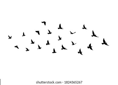 Flying birds silhouettes on isolated background. Vector illustration. isolated bird flying. tattoo and wallpaper background design. - Shutterstock ID 1824365267