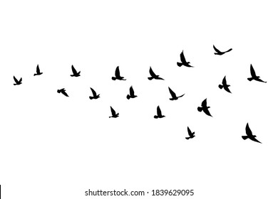 Flying birds silhouettes on isolated background. Vector illustration. isolated bird flying. tattoo and wallpaper background design. - Shutterstock ID 1839629095