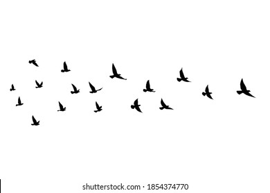 Flying birds silhouettes on isolated background. Vector illustration. isolated bird flying. tattoo and wallpaper background design. - Shutterstock ID 1854374770