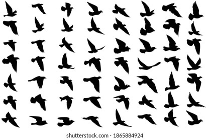 Flying birds silhouettes on isolated background. Vector illustration. isolated bird flying. tattoo and wallpaper background design. sky and cloud with fly bird. color shade palette.