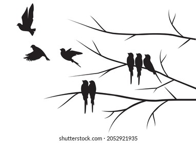 Flying birds silhouettes on sunset and branch illustration isolated on white background, vector. Natural wall decals, wall art, artwork. Black and white minimalist poster design