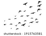 Flying birds silhouettes on white background. Vector illustration. isolated bird flying. tattoo design.