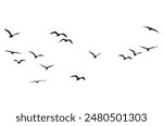 Flying birds silhouettes on White background, Vector illustration, isolated bird flying, Birds vector, Flying birds vector, tattoo and wallpaper background design.