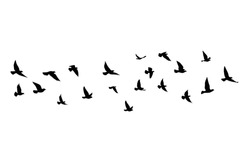 Flying Birds Silhouettes On White Background. Vector Illustration. Isolated Bird Flying. Tattoo Design.