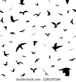 Flying birds silhouettes on white background. Animals seamless detailed pattern. Black on white backgound. Vector illustration