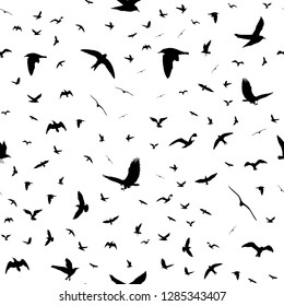 Flying birds silhouettes on white background. Animals seamless detailed pattern. Black on white backgound. Vector illustration