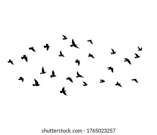 Flying birds silhouettes on white background. Vector illustration. isolated bird flying. tattoo design.
