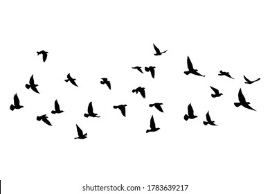 Flying birds silhouettes on white background. Vector illustration. isolated bird flying. tattoo design.