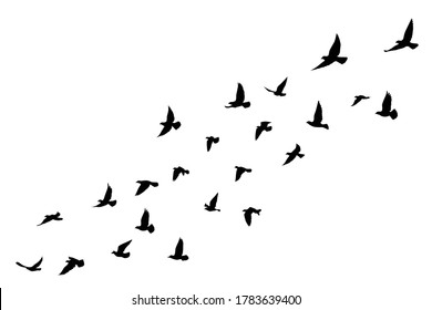 Download Flying Bird Drawing Images Stock Photos Vectors Shutterstock