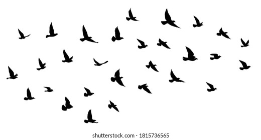 Flying Birds Sky Vector Stock Vector (Royalty Free) 618017609 ...