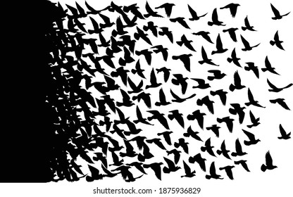 Flying birds silhouettes on white background. Vector illustration. isolated bird flying. tattoo design.	