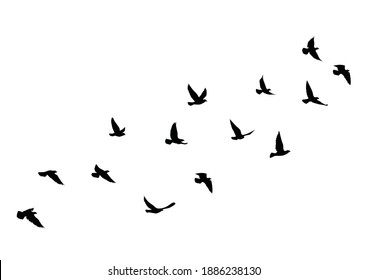 Flying birds silhouettes on white background. Vector illustration. isolated bird flying. tattoo design.