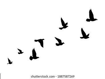 Flying birds silhouettes on white background. Vector illustration. isolated bird flying. tattoo design.