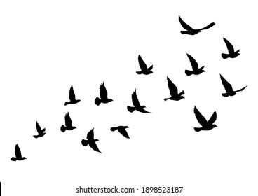 Siluetas de aves voladoras sobre fondo blanco. Ilustración vectorial. pájaro aislado volando. diseño de tatuajes.