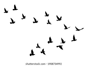 Flying birds silhouettes white background  Vector illustration  isolated bird flying  tattoo design 