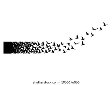 Flying birds silhouettes on white background. Vector illustration. isolated bird flying. tattoo design.