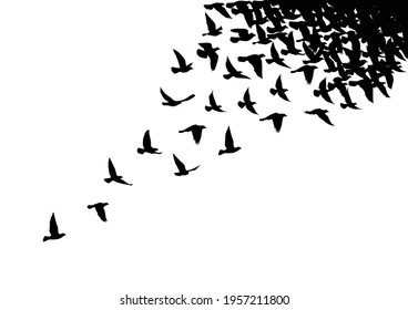 Flying birds silhouettes on white background. Vector illustration. isolated bird flying. tattoo design.