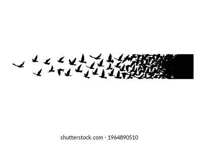 Flying birds silhouettes on white background. Vector illustration. isolated bird flying. tattoo design.