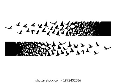 Flying birds silhouettes on white background. Vector illustration. isolated bird flying. tattoo design.