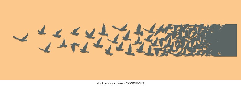 Flying birds silhouettes on white background. Vector illustration. isolated bird flying. tattoo design.