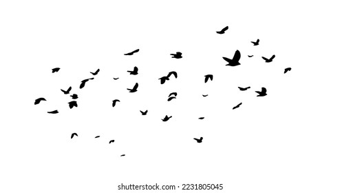 Flying birds silhouettes on white background. Vector illustration. isolated bird flying. tattoo design.