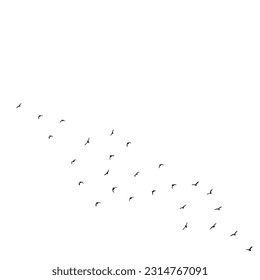 Flying Birds Silhouettes On White Background Vector Design.