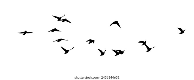 Flying birds silhouettes on white background. Vector illustration. isolated bird flying. tattoo design.