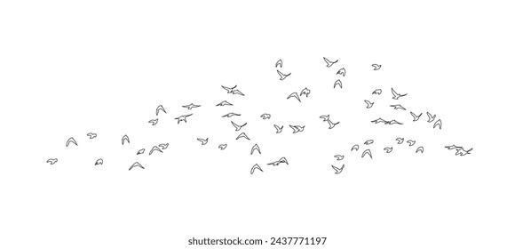 Siluetas de pájaros voladores sobre fondo blanco. Ilustración vectorial. vuelo aislado del pájaro. diseño del tatuaje.