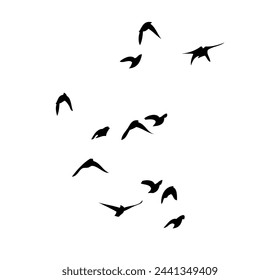 Flying birds silhouettes on white background. Vector illustration. isolated bird flying. tattoo design.