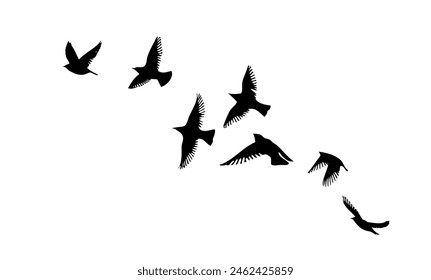 Flying birds silhouettes on white background. Vector illustration. isolated bird flying. tattoo design.