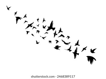 Flying birds silhouettes on white background. Vector illustration. isolated bird flying. tattoo design.