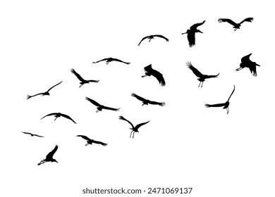 Flying birds silhouettes on white background. Vector illustration. isolated bird flying. tattoo design.