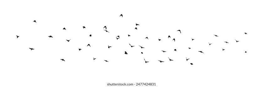 Fliegende Vögel Silhouetten auf weißem Hintergrund. Vektorillustration. Abgeschiedener Vogelflug. Tattoo-Design.