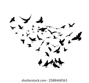 Flying birds silhouettes on white background. Vector illustration. isolated bird flying. tattoo design.