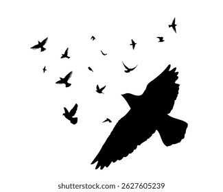 Flying birds silhouettes on white background. Vector illustration. isolated bird flying. tattoo design.
