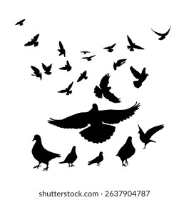 Flying birds silhouettes on white background. Vector illustration. isolated bird flying. tattoo design