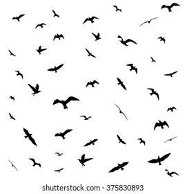 Flying birds silhouettes on white background. Vector illustration