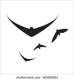 Flying birds silhouettes on white background. Vector illustration