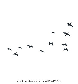 Flying birds silhouettes on white background. Vector illustration. isolated bird flying.