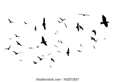 149,928 Bird Silhouette Pattern Images, Stock Photos & Vectors ...