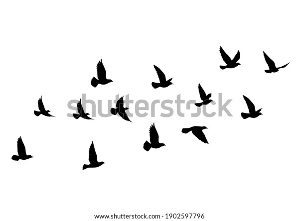 白い背景に飛鳥のシルエット ベクターイラスト 鳥が飛んでいます タトゥーデザイン のベクター画像素材 ロイヤリティフリー