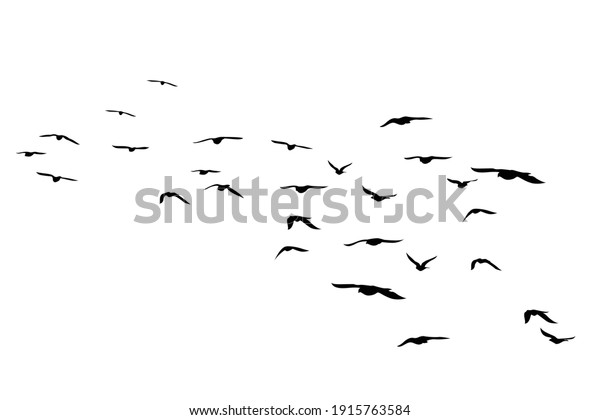 Flying birds\
silhouettes on white background. Vector illustration. isolated bird\
flying. tattoo design.