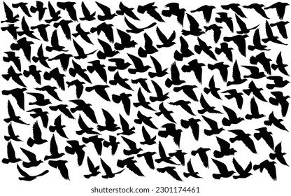 Flying birds silhouettes pattern wallpaper. Vector illustration. isolated bird flying. tattoo design. template for card, package, and wallpaper.