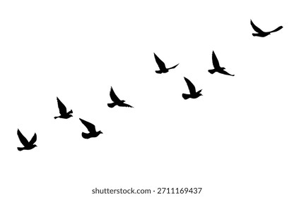 Fondo de pantalla de patrón de siluetas de pájaros voladores. Ilustración vectorial. pájaro aislado que vuela. diseño del tatuaje. Plantilla para la tarjeta, el paquete, y el Fondo de pantalla.