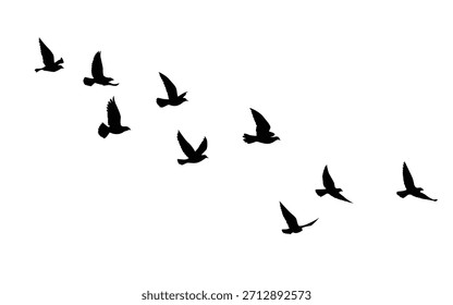 Flying birds silhouettes pattern wallpaper. Vector illustration. isolated bird flying. tattoo design. template for card, package, and wallpaper.