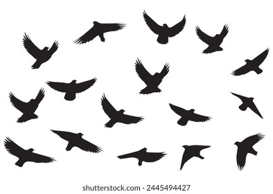 Flying birds silhouettes Vector illustration white background
